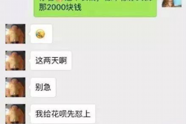 葫芦岛为什么选择专业追讨公司来处理您的债务纠纷？